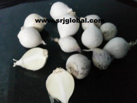 Single clove Garlic or Single Seed Himalayan Garlic