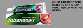 neemodent neem toothpaste