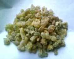 Dhoop Salai(Boswellia serrata)