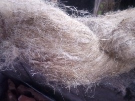 flax fiber