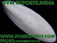 Cuttlefish Bone Exporters India