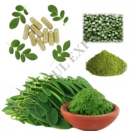 Moringa Oleifera Powder / Capsules