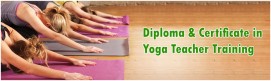 Yoga Teacher Training