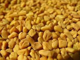 Fenugreek oil