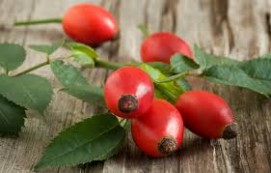 Rosehip Oil