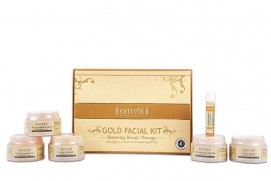 Sattvik Organics Gold Kit 260gm