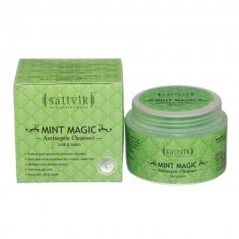 Sattvik Organics Mint Magic100gm