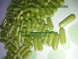 Moringa Capsule Exporters India