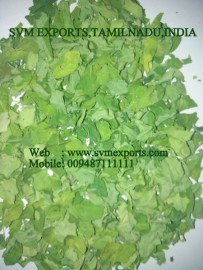 Moringa Dried Leaves Suppliers