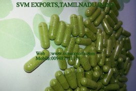 Morinag Capsules Suppliers