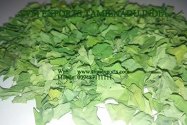 Moringa Dried Leaves Suppliers