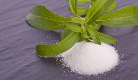 Pure Stevia Extract  25 gm Powder