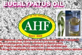 Eucalypatus Globeless Oil