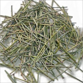 Somlata(Ephedra gerardiana Wall)