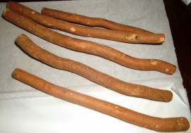 Miswak(Salvadora persica)