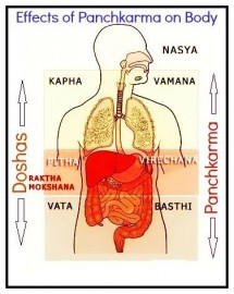 Panchakarma Assistant Training Course