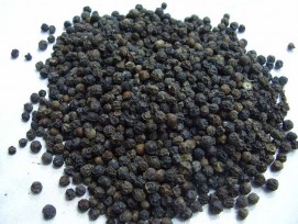 Piper nigrum Extract- Piperine 95%