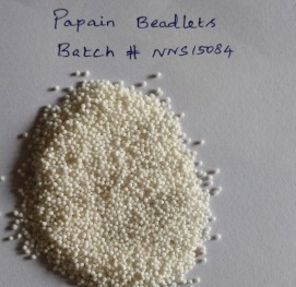 PAPAYA LEAF EXTRACT  (PAPAIN BEADLETS) - 1100 TU/MG