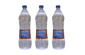 Gangajal 1 ltr