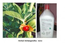 Organic Ashwagandha Leaf Juice