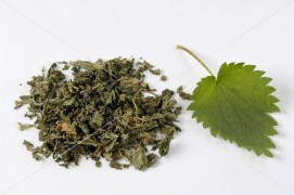 Nettle leaf tea