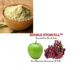 Double Stem Cell Powder Box