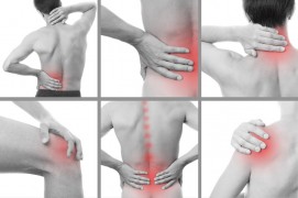 Back / Joint / Knee / Neck Pain