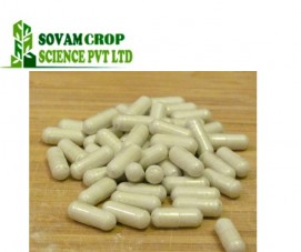 Herbal Heart Care Capsules