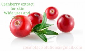 Chicory Extract Herble, cranberry extract, passionfruit extract ,