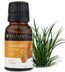 Citronella Essential Oil