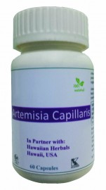 Hawaiian herbal artemisia capillaris capsules