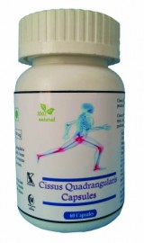 Hawaiian herbal cissus quadrangularis capsule