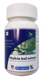 Hawaiian herbal mullein leaf extract capsule