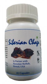 Hawaiian herbal siberian chaga capsule