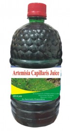 Hawaiian herbal artemisia capillaris juices