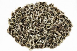 MORINGA (DRUMSTICK) SEEDS