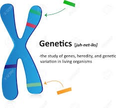 TELOMERE Diagnose & Repair