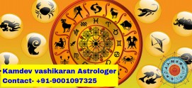 Famous Astrologer In Delhi