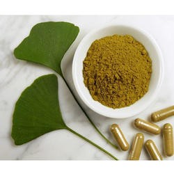 ginkgo biloba extract