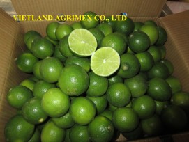 FRESH LIME SEEDLESS