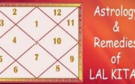 Lal Kitab Remedies-Lal Kitab Astrology-Astrology Support