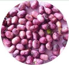 JAMUN SEEDS