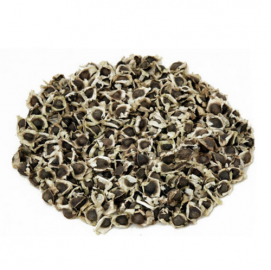 MORINGA SEEDS PKM1