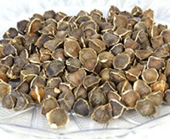 MORINGA WINGLESS SEED