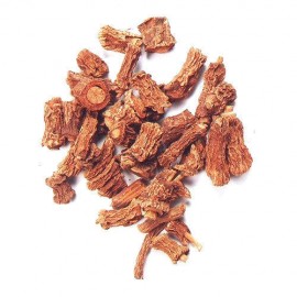 Suppliers of SARSAPARILLA ROOT