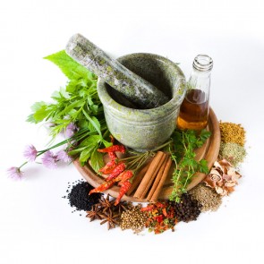  Herbal Products Service Provider from Nadiad