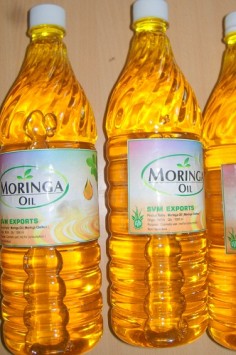 Moringa Ben Oil Exporters 