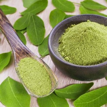 Moringa Leaf Powder Exporters