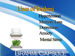 Herbal Capsules