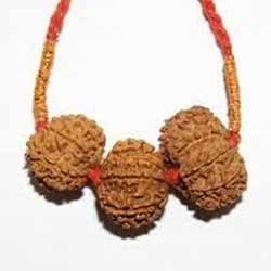 Rudraksha Products